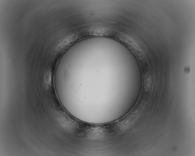 X0000096180310200801181318