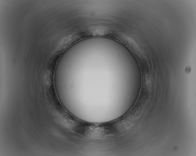 X0000096180311200801181318