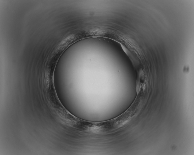 X0000096180312200801181318