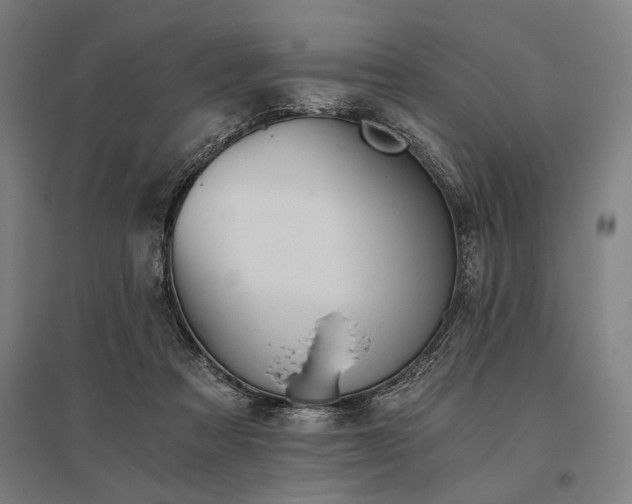 X0000096180313200801181318