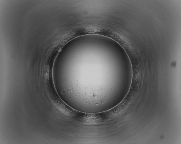 X0000096180315200801181318
