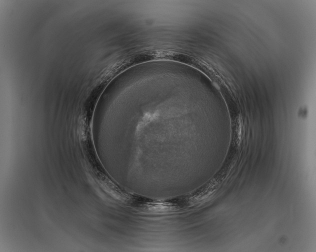 X0000096180316200801181318