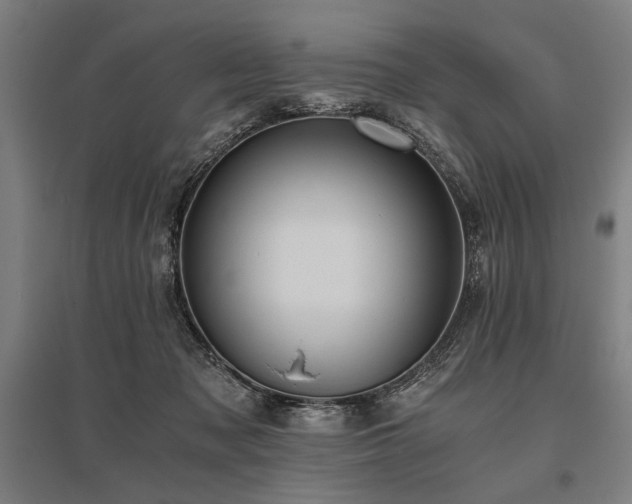 X0000096180317200801181318