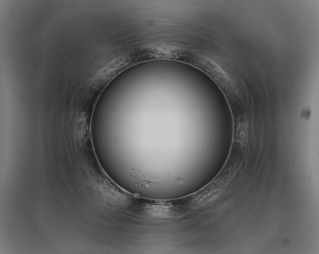 X0000096180318200801181318