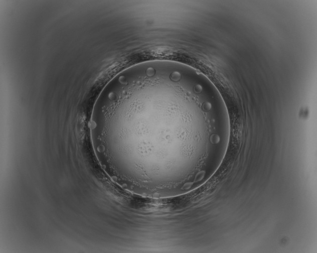 X0000096180319200801181318