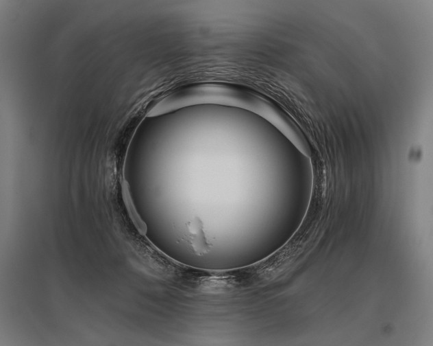 X0000096180320200801181318