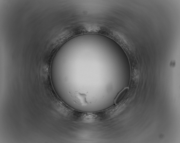 X0000096180321200801181318