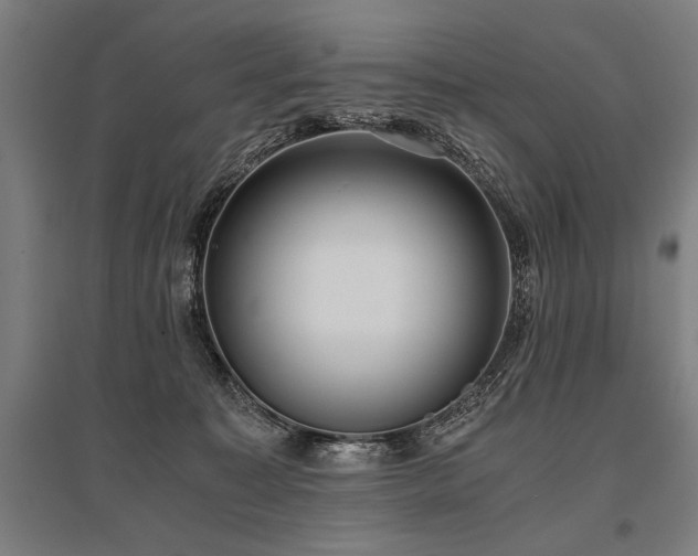 X0000096180323200801181318