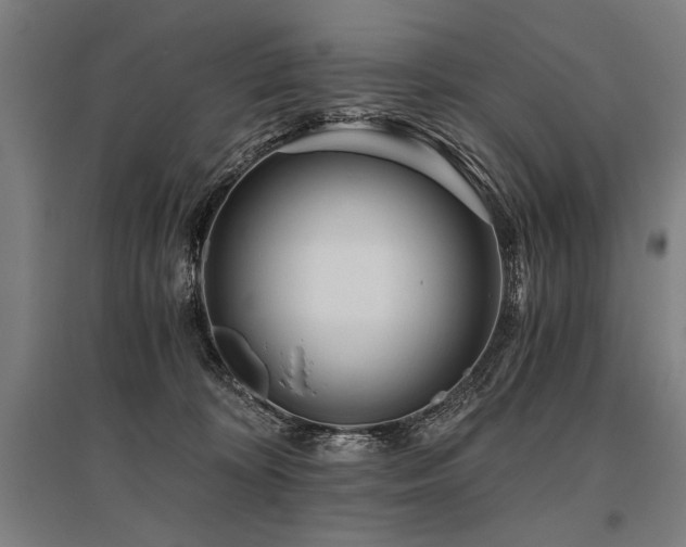 X0000096180324200801181318
