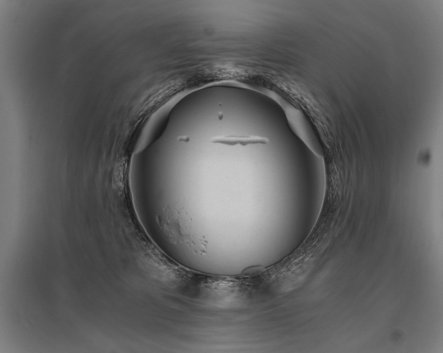 X0000096180325200801181318