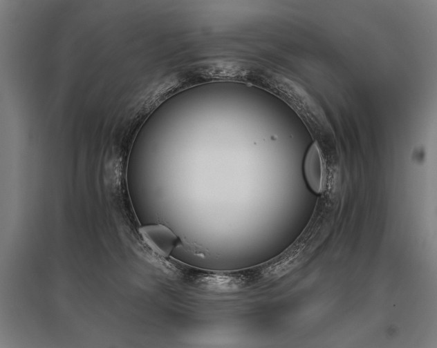 X0000096180326200801181318