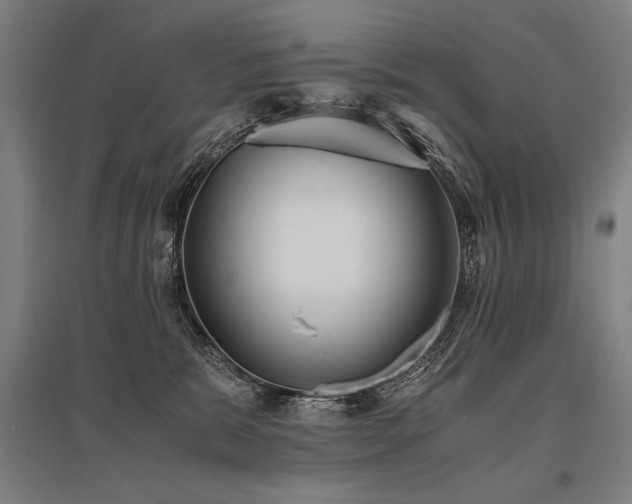 X0000096180327200801181318
