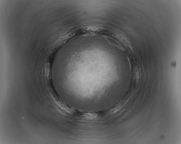X0000096180328200801181318