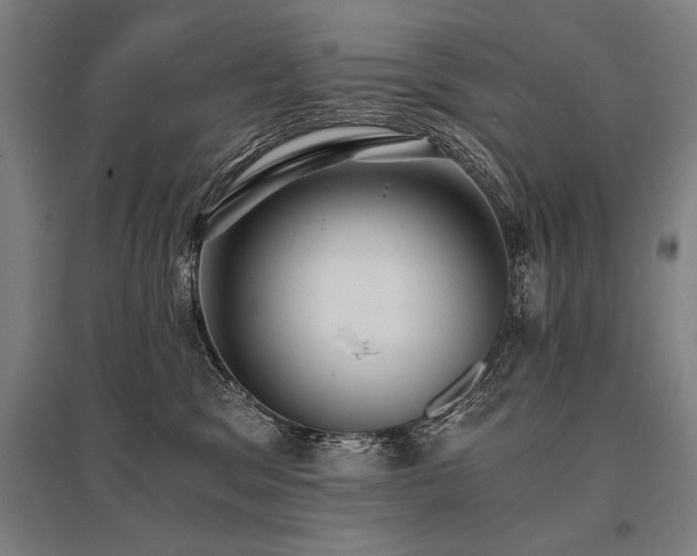 X0000096180329200801181318
