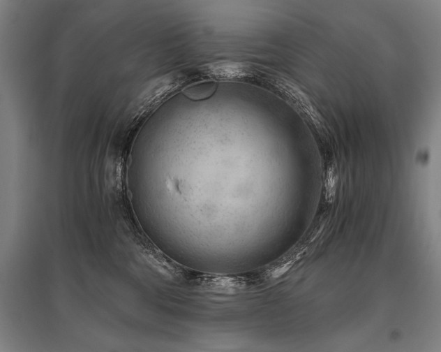 X0000096180330200801181317