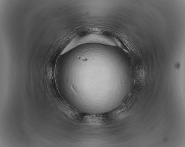 X0000096180331200801181317