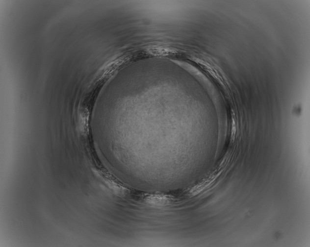 X0000096180332200801181317