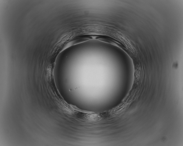 X0000096180333200801181317