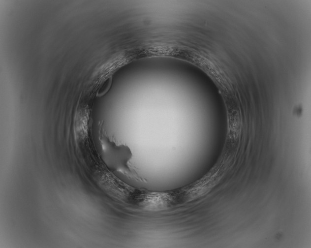 X0000096180334200801181317
