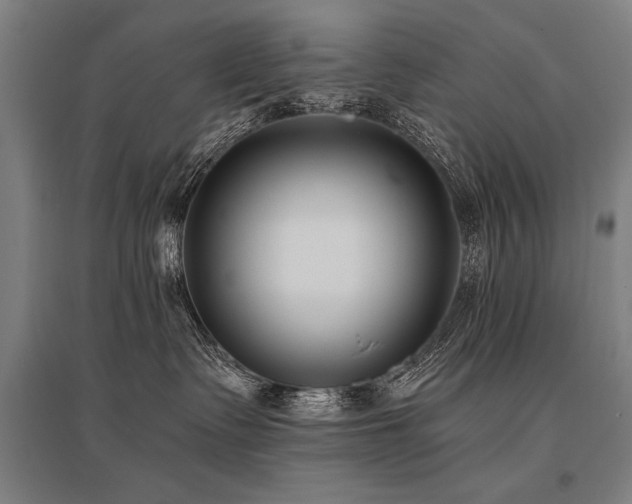 X0000096180335200801181317