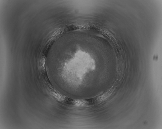 X0000096180336200801181317