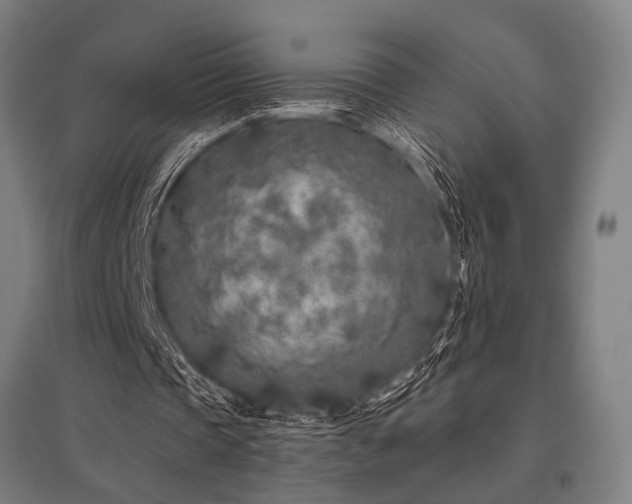 X0000096180337200801181317