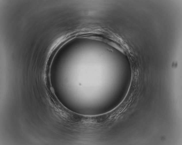 X0000096180340200801181317