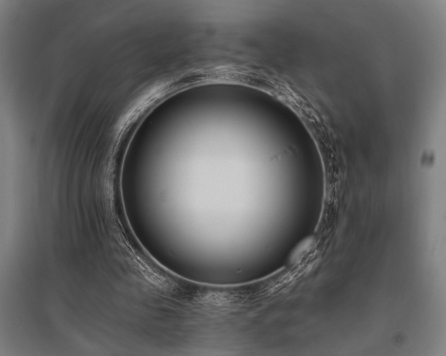 X0000096180341200801181317