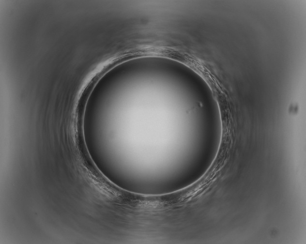 X0000096180342200801181317