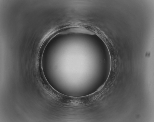 X0000096180344200801181317