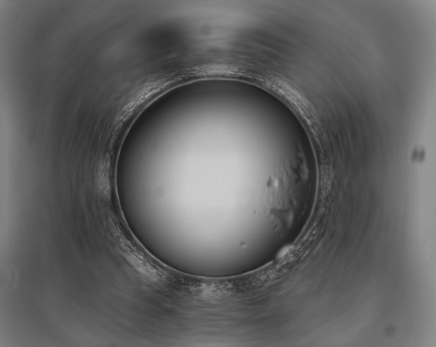 X0000096180345200801181317