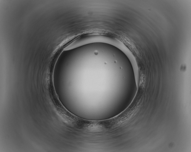 X0000096180348200801181317