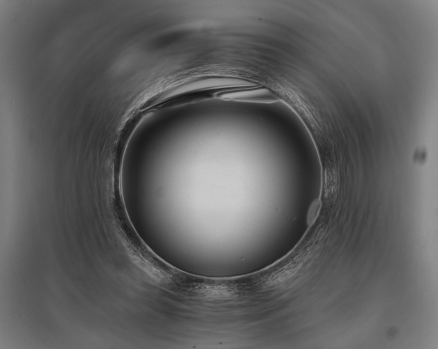 X0000096180349200801181317