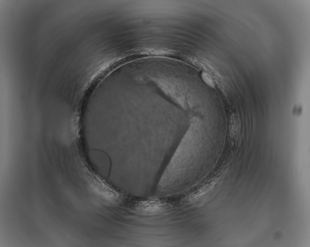X0000096180351200801181317