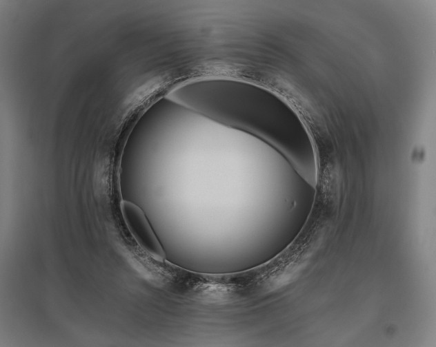 X0000096180352200801181317