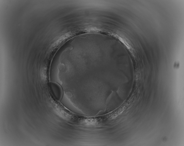 X0000096180353200801181317