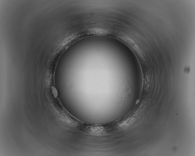 X0000096180355200801181317