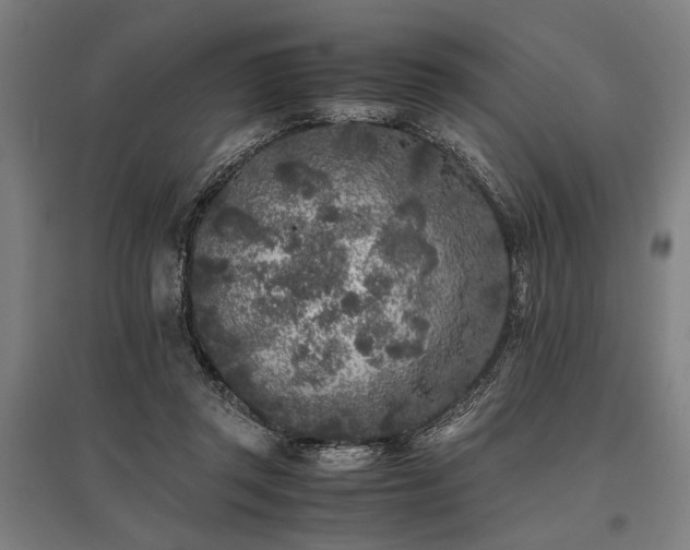 X0000096180357200801181317