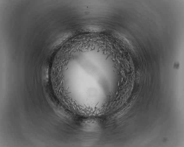 X0000096180358200801181317