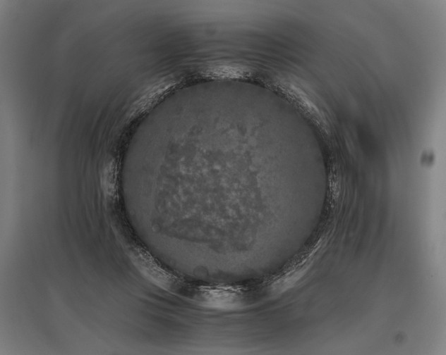 X0000096180359200801181317
