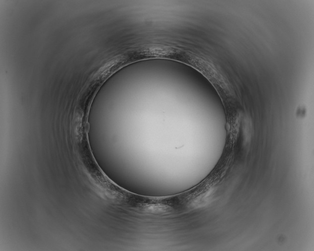 X0000096180360200801181317