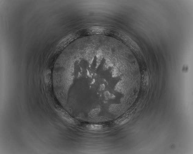 X0000096180361200801181317