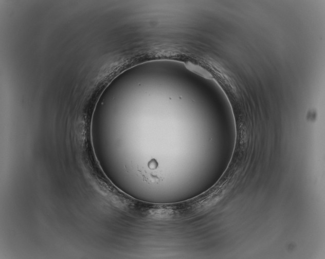 X0000096180362200801181317