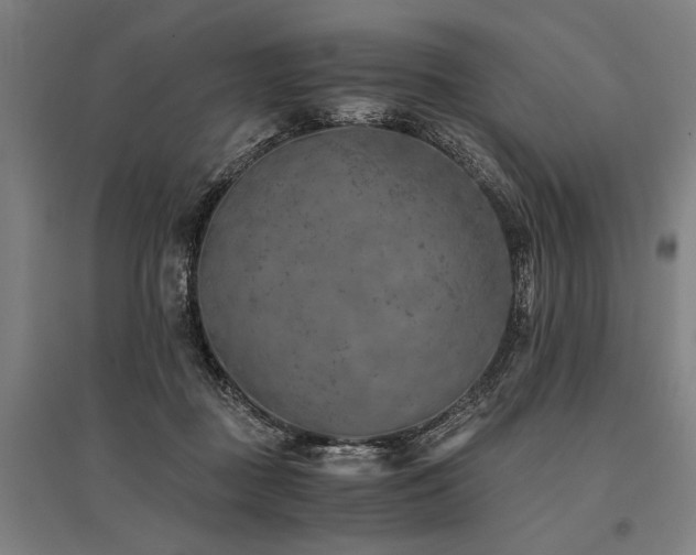 X0000096180363200801181317