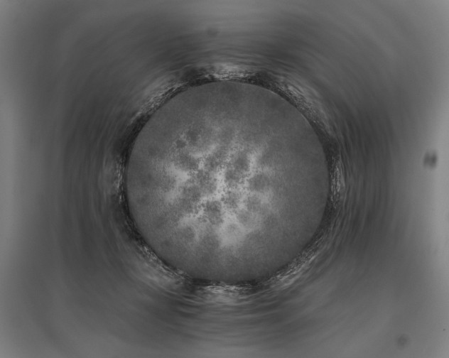 X0000096180367200801181317