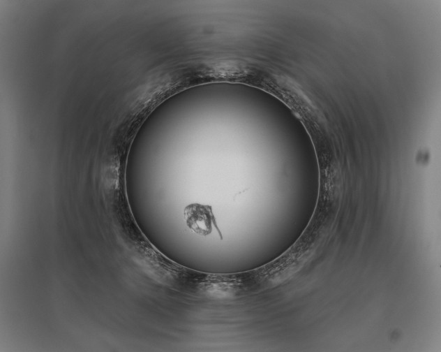 X0000096180368200801181317