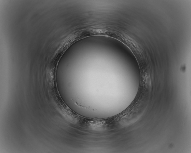 X0000096180373200801181317