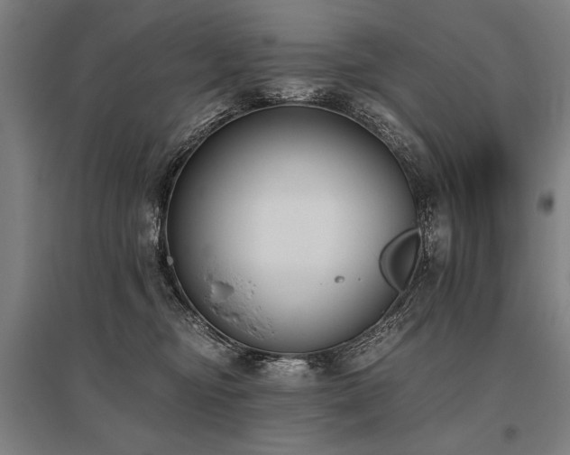 X0000096180374200801181317