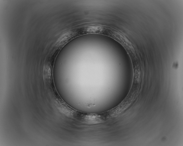 X0000096180375200801181317
