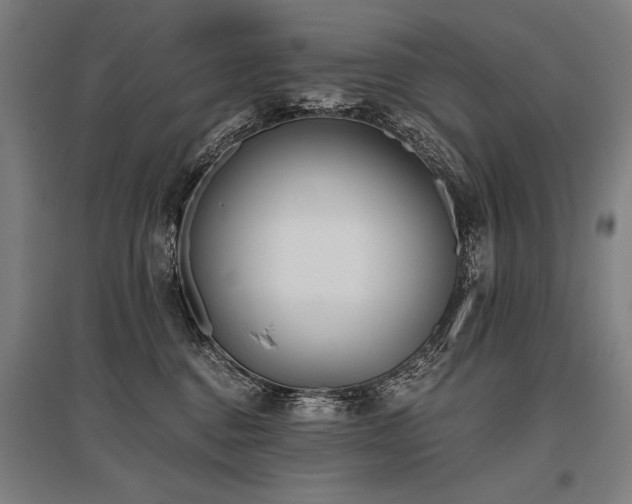 X0000096180376200801181317